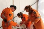 Wanneroo Exercise July 2009